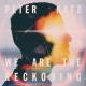 Peter Katz - Dark (feat. Rachel Sermanni)
