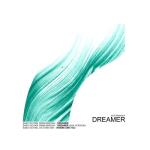 album image Dreamer Dreamer - Single