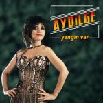 album image yangin var Yangın Var - Single