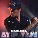 album image Vazgecilmezim Ayıp Yani - Single