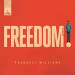 album image Freedom Freedom - Single