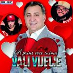 album image ASU SI VALI VIJELIE - A PRINS VOCE INIMA ( OFFICIAL VIDEO ) Manele noi 2015 - YouTube A Prins Voce Inima