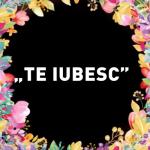 album image Te iubesc Te iubesc (feat. Alinka) - Single