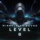 Miracle Of Sound - Lady of Worlds