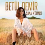 album image Sana N'Olmus (BRB)