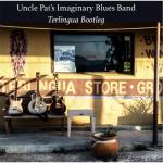 album image Loan Me A Dime Uncle Pat's Imaginary Blues Band (Terlingua Bootleg)