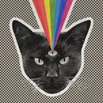album image Black Cat Black Cat