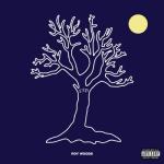 album image Drama (Feat Roy Woods) Exis - EP