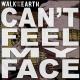 Walk Off The Earth - Can't Feel My Face