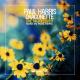 Paul Harris - One Night Lover (Nora en Pure Remix) [Feat. Dragonette]