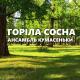 Ансамбль "Кумасеньки" - Горіла сосна