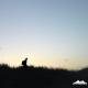 Dusty Kid - Innu