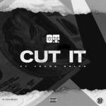 album image Cut It Cut It (feat. Young Dolph) - Single