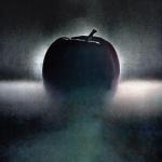 album image Shadow Shadow - Single