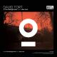 David Tort, Alex Lark - In The Midnight Hour