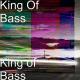Flux Pavilion - I Cant Stop(remix)