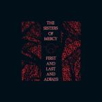 album image Amphetamine Logic First and Last and Always