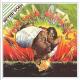Peter Tosh - Johnny B. Goode