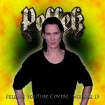 album image Dragostea Din Tei (Numa Numa) Covers Vol. 19