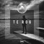 album image Te Rog (Official Audio) D.S Te Rog - Single