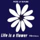 Ace of Base - Life Is a Flower