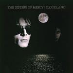 album image Never Land Floodland