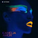 album image Amor Amor - Single