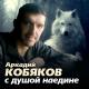 A. Kobiakov - Skripach"