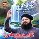 Ghulam Mustafa Qadri - Ya Ilahi