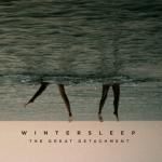 album image Amerika The Great Detachment