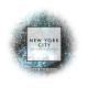 The Chainsmokers - New York City (Dash Berlin Remix) [ASOT 749]