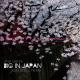 Ane Brun - Big In Japan (Ivan Spell Radio Mix)