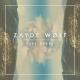 Zayde Wolf - new blood (ost Shameless)