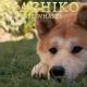 Jan A. P. Kaczmarek - Goodbye (OST: "Hachi: A dog's story")