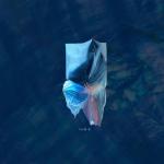 album image Myth Tsar B - EP