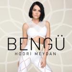 album image Hodri Meydan Hodri Meydan - Single