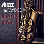 album image Burn It Down Burn It Down - Single (Radio Edit) - Single