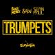 Salvi, Sak Noel feat. Sean Paul - Trumpets