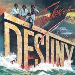 album image Shake your body (Down to the ground) (1979) Destiny