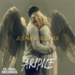 album image Carla's Dreams - Aripile (DJ Asher Remix) - YouTube Aripile (DJ Asher Remix) - Single
