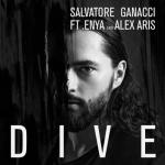 album image Dive (feat. Enya and Alex Aris) Dive (feat. Enya and Alex Aris) - Single