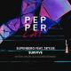 Slipenberg feat. Skylee - Survive