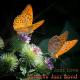 Erotic Jazz Music Ensemble feat. Instrumental Jazz Music Ambient - Romantic Song