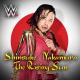 Shinsuke Nakamur - Shadows of a Setting Sun (Entrance Theme) feat. Shadows of The Sun(INSTRUMENTAL)