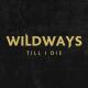 Wildways - Till I Die (Cover by Machine Gun Kelly)