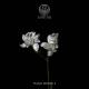 Walter Mair - Trust in Family