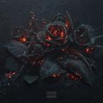 album image Wicked EVOL