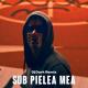 Carla`s Drems - Sub Pielea Mea (DJ Dark & M.D Remix) (zaycev.net)