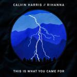 album image This Is What You Came For This Is What You Came For - Single