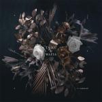 album image Meet In The Middle (M) Edian - EP
